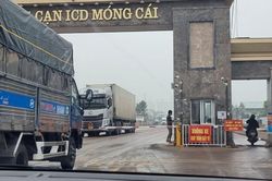 Cơ hội xuất khẩu thủy sản sang thị trường tỷ dân
