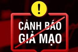 Thông tin 'mẹ xin tiền làm đám tang cho con mắc viêm não' là bịa đặt