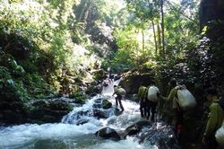 Thường trực HĐND tỉnh Nghệ An thống nhất xây dựng chính sách hỗ trợ lực lượng chuyên trách bảo vệ rừng