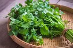 Rau mùi mua về nhanh thối, hỏng: Làm thêm bước này để nửa năm rau mùi vẫn tươi ngon, xanh mơn mởn
