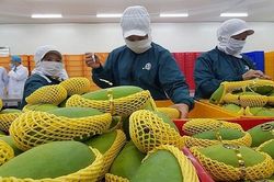 Điểm tên 9 mặt hàng xuất khẩu tăng trưởng dương 2 tháng đầu năm 2023