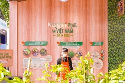 Từ hạt cà phê ở nông trại đến ly NESCAFÉ