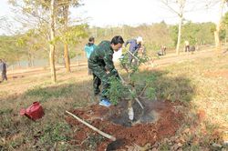 Đắk Lắk phát động trồng cây 'Đời đời nhớ ơn Bác Hồ'