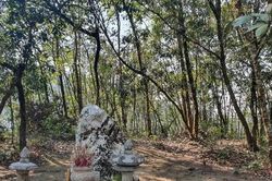 Chuyện về hòn đá kỳ lạ được phong 'Thánh', cách biên giới Việt - Trung chưa đầy 1 mét