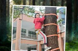 Phần thưởng đặc biệt thay vì giấy khen, học sinh cả trường phấn khởi