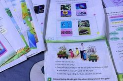 Phụ huynh phản ánh sách Tiếng Việt bộ Chân trời sáng tạo chất lượng kém