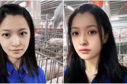 Tốt nghiệp đại học, nữ sinh về quê nuôi lợn thu 340 triệu/năm