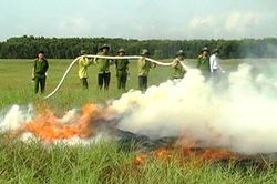 Chủ động các biện pháp phòng cháy, chữa cháy rừng mùa hanh khô