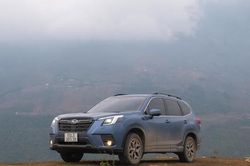 Những lợi thế khi lái xe crossover trên đường trường