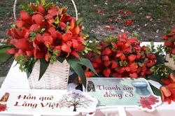 Hồn quê làng Việt qua chương trình 'Thanh âm Đồng Cổ'