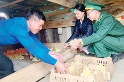 Chính trị - Xã hội Xây dựng Đảng Lý tưởng của tuổi trẻ khi phấn đấu vào Đảng