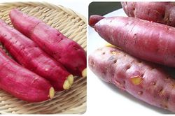 Những người không nên ăn khoai lang