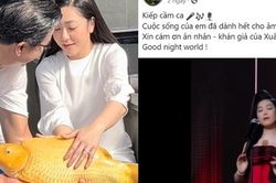Thái độ trái ngược của vợ chồng 'vua cá Koi' Thắng Ngô và Hà Thanh Xuân khi bị đồn ly hôn