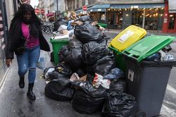 Khủng hoảng rác, Paris đối mặt cuộc xâm lăng của... chuột