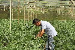 Bước tiến mới trong tiến trình xây dựng nông thôn mới nâng cao
