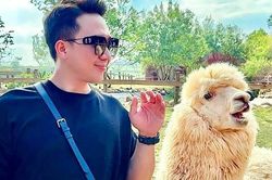 Trấn Thành nhận biệt danh mới khi bị 'cà khịa' vụ 'bao rạp'