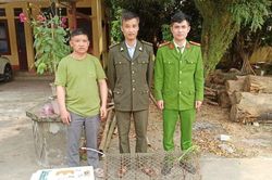Nhiều động vật hoang dã liên tiếp được cứu hộ về Vườn Quốc gia Cúc Phương