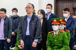 Cho vay 'ẩu' gây thiệt hại 181 tỷ, cựu giám đốc chi nhánh ngân hàng lĩnh 7 năm tù