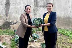 Cán bộ Hội tâm huyết với công tác bảo vệ môi trường