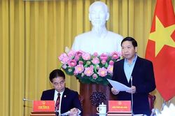 Phạt tối đa 100 triệu đồng với tổ chức vi phạm hành chính trong lĩnh vực kiểm toán