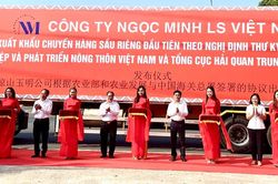 Cần Thơ: Xuất khẩu 18 tấn sầu riêng chính ngạch đầu tiên sang Trung Quốc