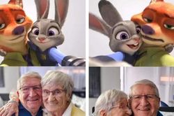 Ông bà cụ chụp ảnh kỷ niệm ngày cưới theo trend 'Zootopia'