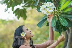Đẹp nao lòng khung cảnh đôi bờ kênh Nhiêu Lộc mùa thay lá