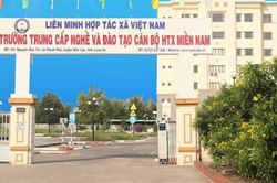 Long An: Thu hồi giấy phép của trường dạy nghề đào tạo lái xe