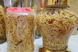 Bỏ qua lời cảnh báo, nhiều người vẫn săn lùng côn trùng để tăng 'bản lĩnh phòng the'