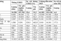 Xuất khẩu hạt điều sang Trung Quốc và Các Tiểu vương quốc Ả rập thống nhất tăng 3 con số