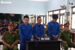 Lãnh hơn 8 năm tù vì đánh nhân viên gác chắn tàu hỏa