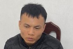 Đối tượng đập phá hàng chục cửa kính ô tô trộm cắp tài sản