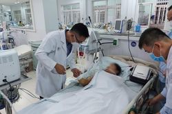Tập trung nguồn lực cứu bệnh nhân ngộ độc do ăn cá chép muối ủ chua