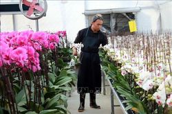 Phát triển hợp tác xã từ thực tiễn ở Nam Định - Bài cuối: Hướng tới sự bền vững
