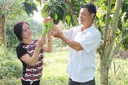 Vun đắp hạnh phúc gia đình từ tình yêu thương và sự chia sẻ
