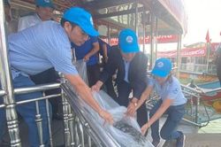 Kinh tế Kinh tế Thả hơn 190 ngàn con cá giống xuống sông Hương