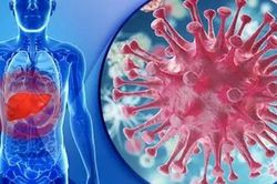4 thói quen khiến gan sớm bị tổn thương, rút ngắn tuổi thọ của bạn