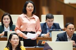 Việc nể nang trong xét xử án hành chính là có, nhưng không nhiều