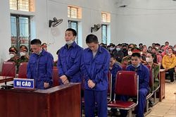 Hai anh em ruột vào tù vì ma túy
