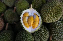 Trung Quốc sắp thu hoạch lứa sầu riêng đầu tiên trồng trong nước
