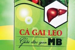 Cà gai leo giải độc gan MB vi phạm quy định về quảng cáo