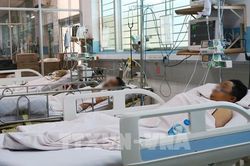 Số ca sốt xuất huyết tăng hơn 2 lần, Bộ Y tế yêu cầu địa phương tích cực phòng dịch
