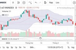 Thị trường chứng khoán 'đỏ lửa', VN-Index 'bốc hơi' hơn 22 điểm