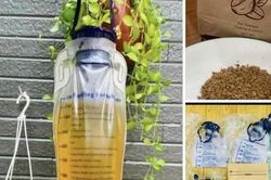 Cảnh báo trào lưu thải độc bằng cà phê