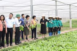 Làm rõ những khó khăn, bất cập trong thực hiện phát triển nông nghiệp, nông thôn