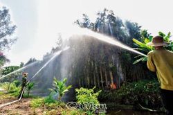 Thực hành phòng cháy, chữa cháy rừng