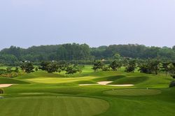 Vụ tạm giữ nhiều người chơi golf đánh bạc: Giải golf chưa được cấp phép