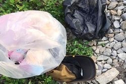 Người đàn ông nhặt ve chai bị tàu hỏa tông tử vong