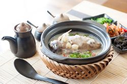 5 điều cấm kỵ khi ăn thịt chim bồ câu cần tránh ngay kẻo sinh độc