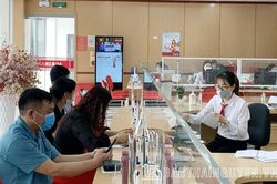 Agribank Chi nhánh Nam Thái Nguyên: Tổng vốn huy động và dư nợ cho vay đạt trên 17 nghìn tỷ đồng